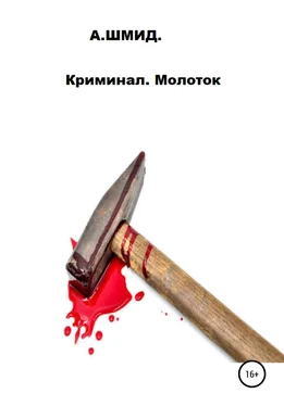 Александр Шмид Криминал. Молоток обложка книги