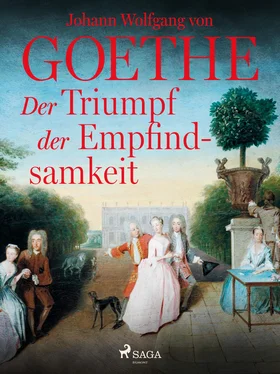 Johann Wolfgang von Goethe Der Triumpf der Empfindsamkeit обложка книги