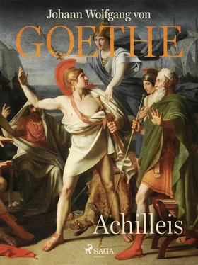 Johann Wolfgang von Goethe Achilleis обложка книги