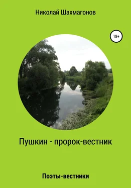 Николай Шахмагонов Пушкин – пророк-вестник обложка книги