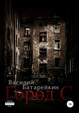 Василий Батарейкин Город С обложка книги