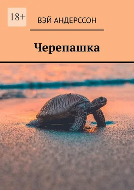 Вэй Андерссон Черепашка обложка книги