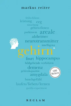 Markus Reiter Gehirn. 100 Seiten обложка книги