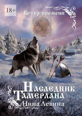 Нина Левина Наследник Тамерлана. Ветер времени обложка книги