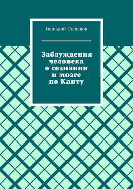Геннадий Степанов Заблуждения человека о сознании и мозге по Канту обложка книги