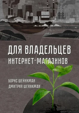 Дмитрий Шейнкман Для владельцев интернет-магазинов обложка книги