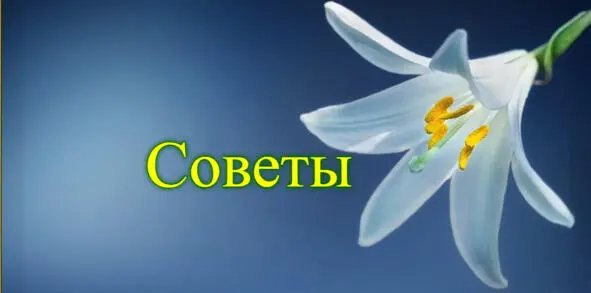 41 Не используйте один и тот же ассортимент товаров во всех регионах - фото 21