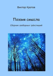 Виктор Кротов - Поэзия смысла. Сборник свободных трёхстиший