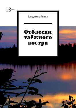 Владимир Репин Отблески таёжного костра обложка книги