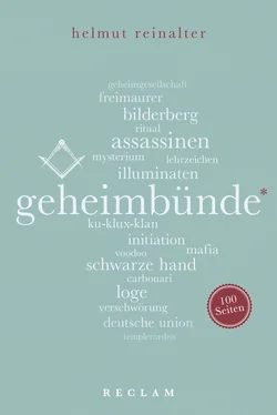 Helmut Reinalter Geheimbünde. 100 Seiten обложка книги