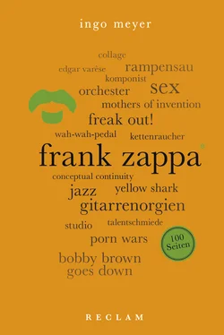 Ingo Meyer Frank Zappa. 100 Seiten обложка книги