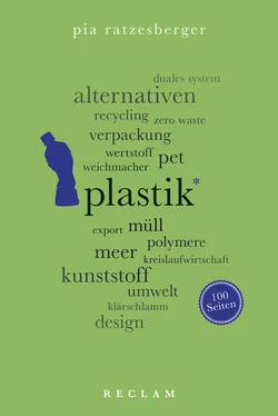 Pia Ratzesberger Plastik. 100 Seiten обложка книги