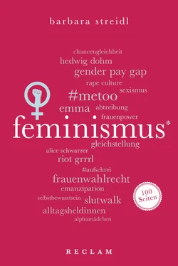 Barbara Streidl Feminismus. 100 Seiten обложка книги