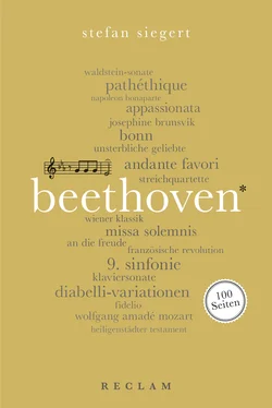 Stefan Siegert Ludwig van Beethoven. 100 Seiten обложка книги