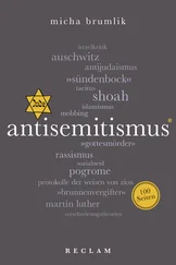 Micha Brumlik - Antisemitismus. 100 Seiten