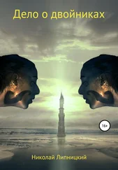 Николай Липницкий - Дело о двойниках