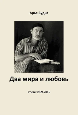 Арье Вудка Два мира и любовь обложка книги