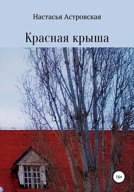 Настасья Астровская Красная крыша обложка книги