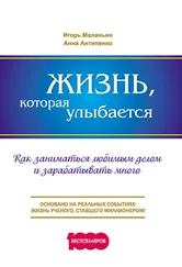 Анна Антипенко - Жизнь, которая улыбается. Как заниматься любимым делом и зарабатывать много