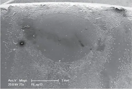 Fig 1310b Detailed microscopic image of a monolithic zirconium oxide - фото 183