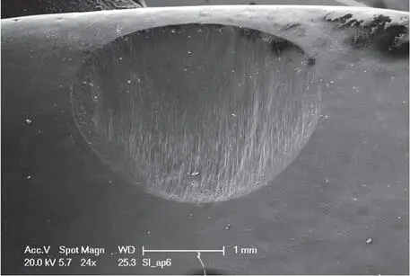 Fig 1310c Detailed microscopic image of a monolithic lithiumdisilicate - фото 184