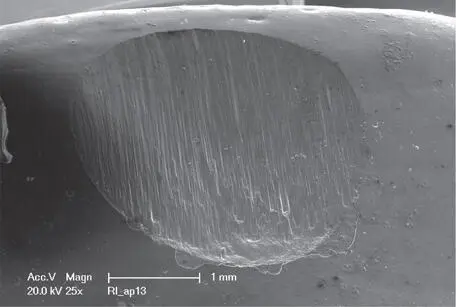 Fig 1310d Detailed microscopic image of a monolithic PICN restoration after a - фото 185