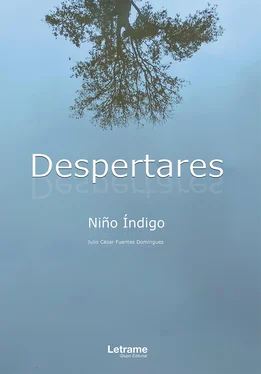 Niño Indigo Despertares обложка книги