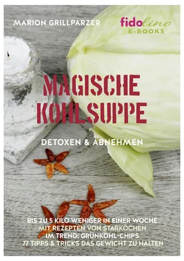 Marion Grillparzer Magische Kohlsuppe обложка книги