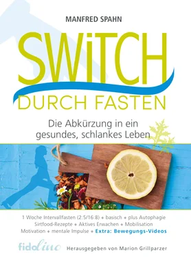 Manfred Spahn Switch durch Fasten обложка книги