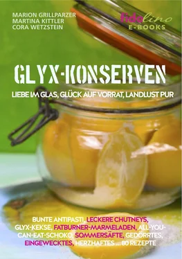 Marion Grillparzer GLYX Konserven обложка книги