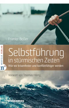 Frieder Boller Selbstführung in stürmischen Zeiten обложка книги