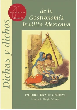 Fernando Díez de Urdanivia Dichas y dichos de la gastronomía insólita mexicana обложка книги