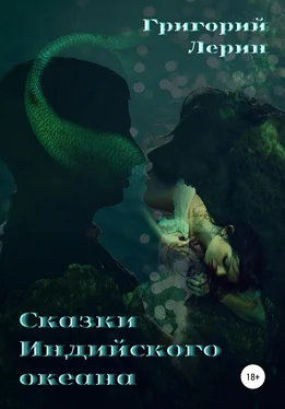 Григорий Лерин Сказки Индийского океана обложка книги