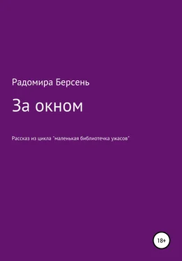 Радомира Берсень За окном обложка книги