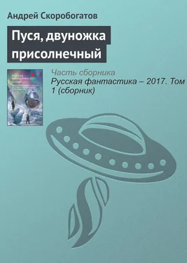 Андрей Скоробогатов Пуся, двуножка присолнечный обложка книги