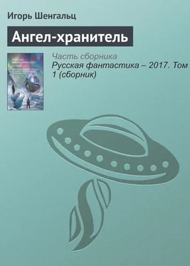 Игорь Шенгальц Ангел-хранитель обложка книги