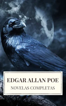 Array Icarsus Edgar Allan Poe: Novelas Completas обложка книги