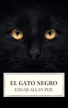 Array Icarsus El gato negro обложка книги