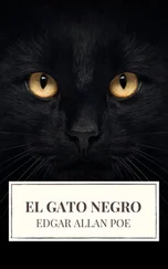 Array Icarsus - El gato negro