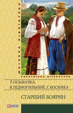 Григорій Косинка Старший боярин (збірник) обложка книги