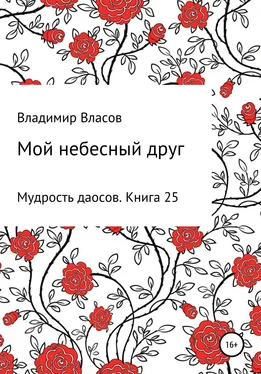 Владимир Власов Мой небесный друг обложка книги