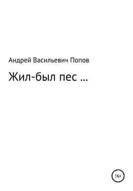 Андрей Попов Жил-был пес… обложка книги