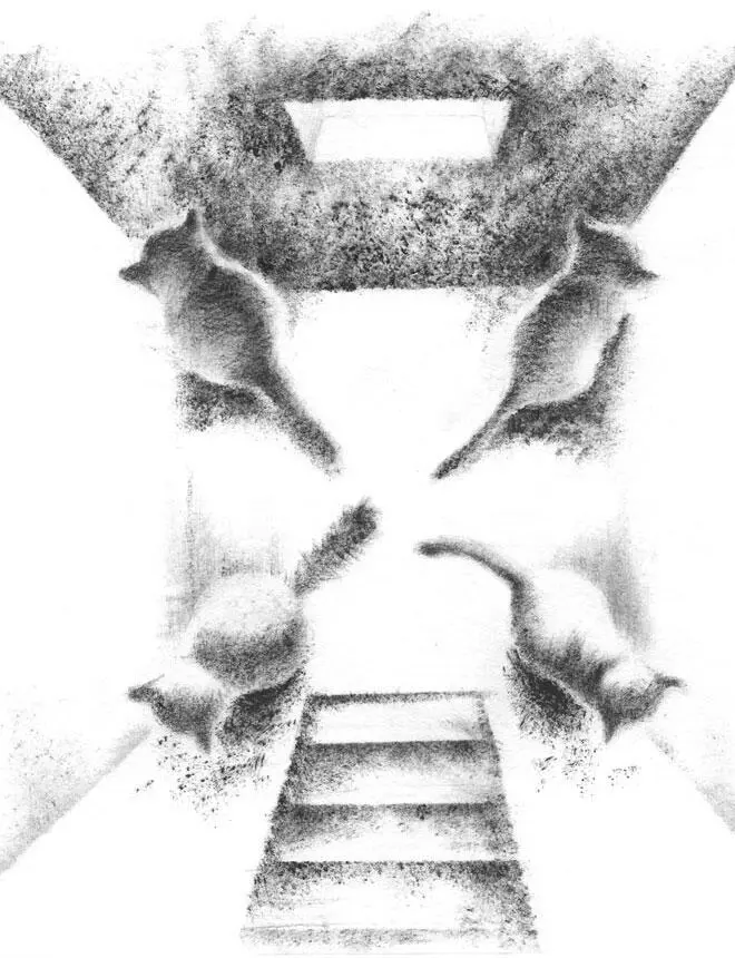 И как только она это сказала все кошки вдруг исчезли Да просто так взяли и - фото 18