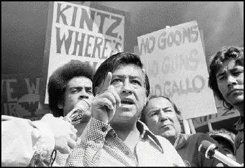 Chavez fue un team leader de un enorme grupo de campesinos que luchó contra los - фото 9