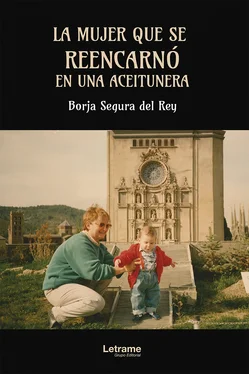 Borja Segura del Rey La mujer que se reencarnó en una aceitunera обложка книги