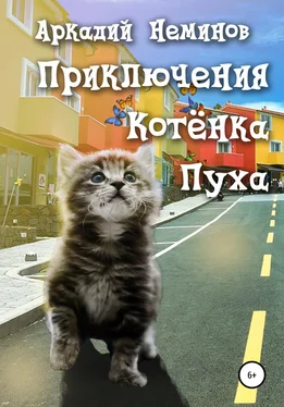Аркадий Неминов Приключения Котёнка Пуха обложка книги
