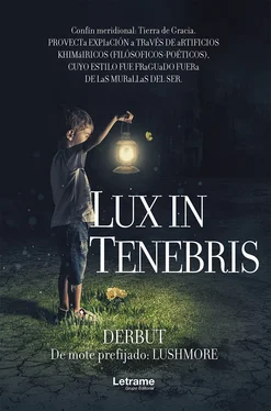 Derbut Lux in tenebris обложка книги