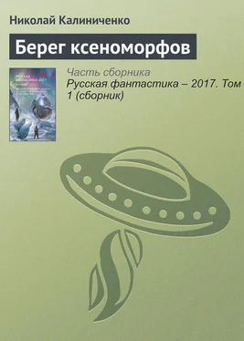 Николай Калиниченко Берег ксеноморфов обложка книги