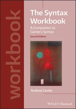 Andrew Carnie The Syntax Workbook обложка книги