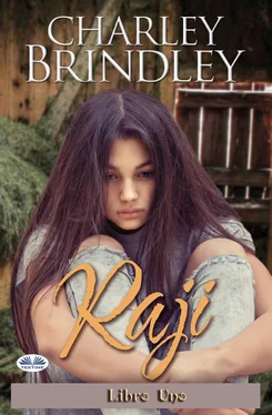 Charley Brindley Raji: Libro Uno обложка книги
